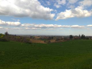 Terreno agricolo in vendita a castelvetro di modena via guerro di qua