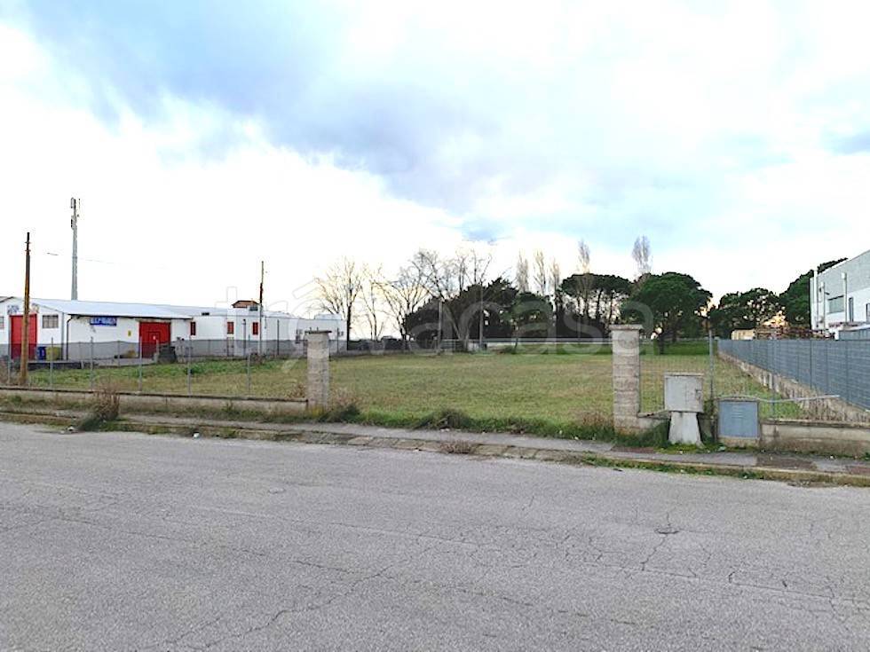 Terreno Residenziale in vendita a Mesola via Provinciale