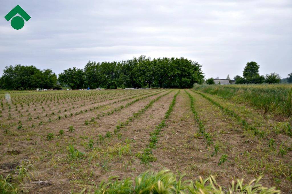 Terreno Agricolo in vendita a Leno via Sabotino