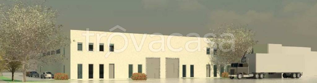 immagine annuncio 3 di 11