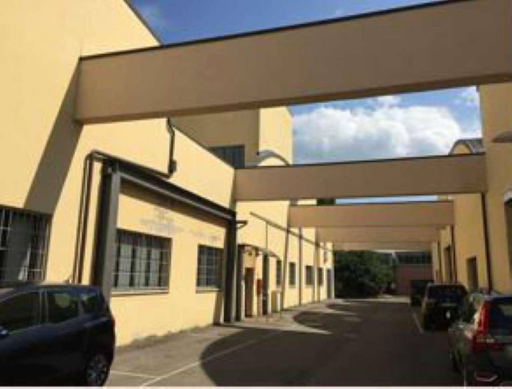 immagine annuncio 2 di 11