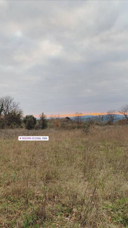 Terreno Residenziale in vendita a Cinigiano strada Provinciale Poggi del Sasso