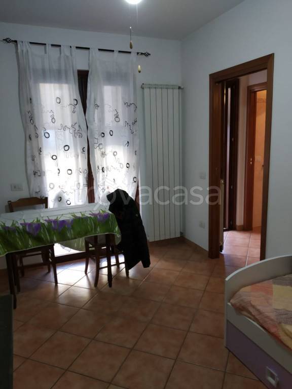 immagine annuncio 3 di 13
