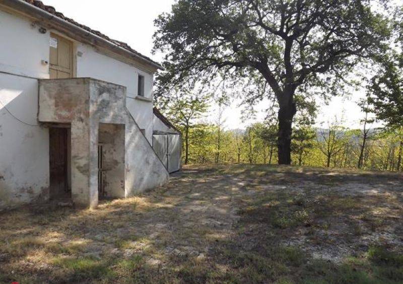 immagine annuncio 1 di 9