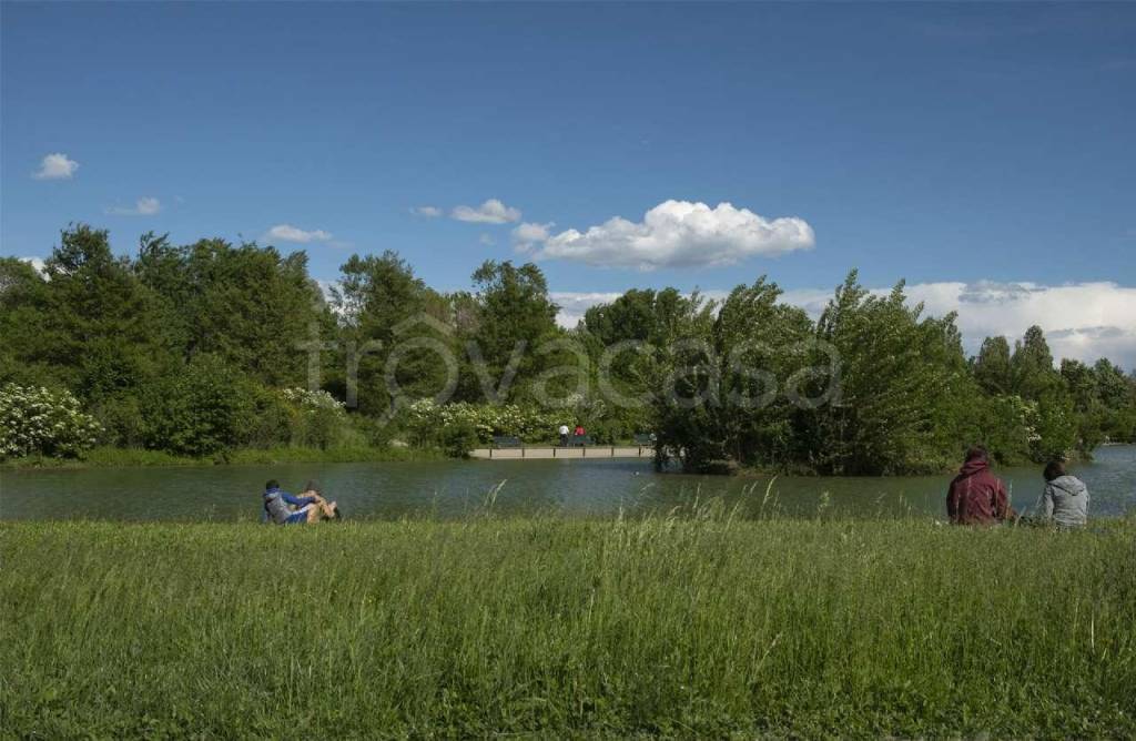 immagine annuncio 4 di 13