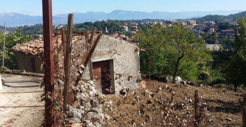 immagine annuncio 5 di 9
