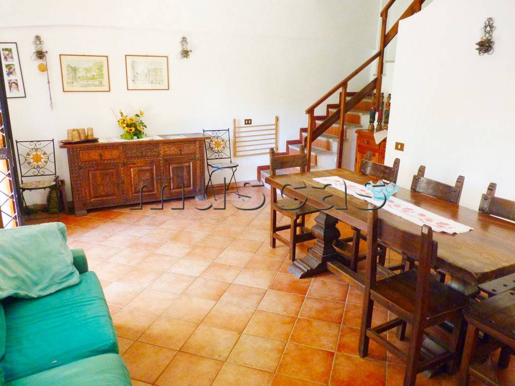 immagine annuncio 6 di 14