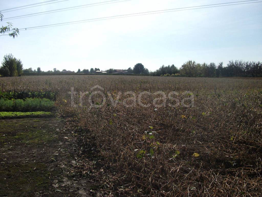 Terreno Agricolo in vendita a Camponogara