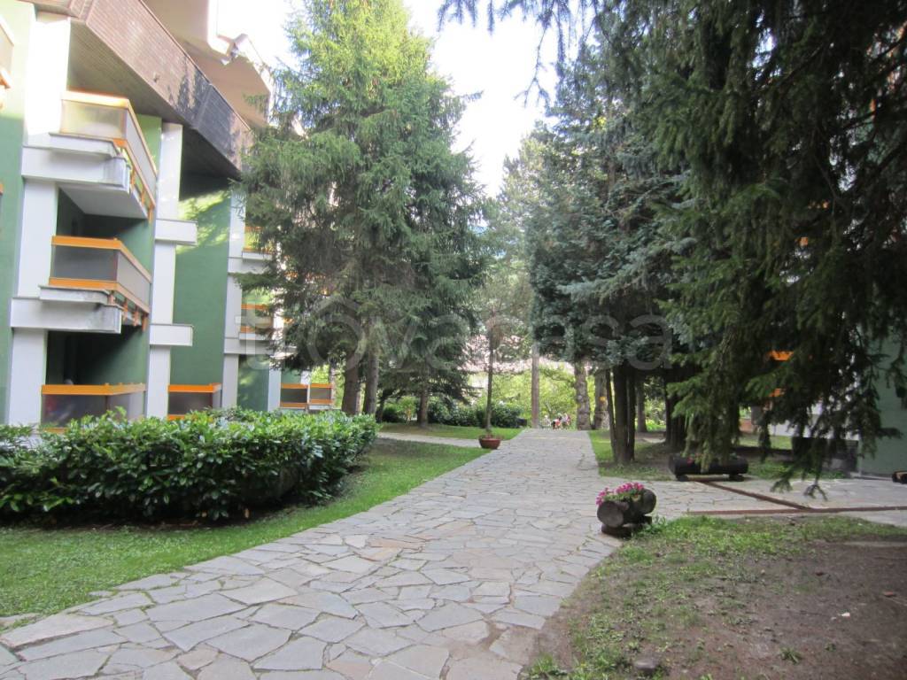 immagine annuncio 7 di 8