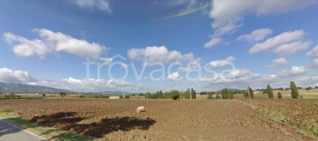 Terreno Agricolo in vendita a Trevi località Colle Basso
