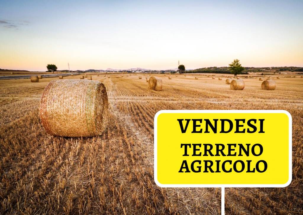 Terreno Agricolo in vendita a Borgo Veneto via Braggio