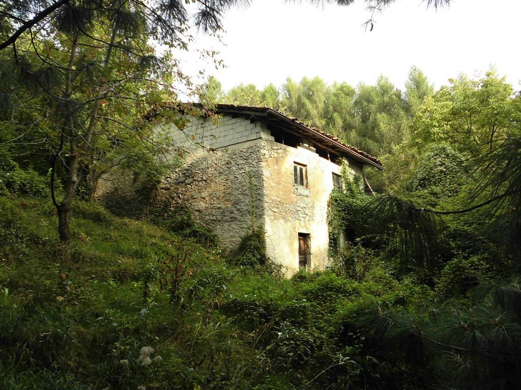 immagine annuncio 4 di 9