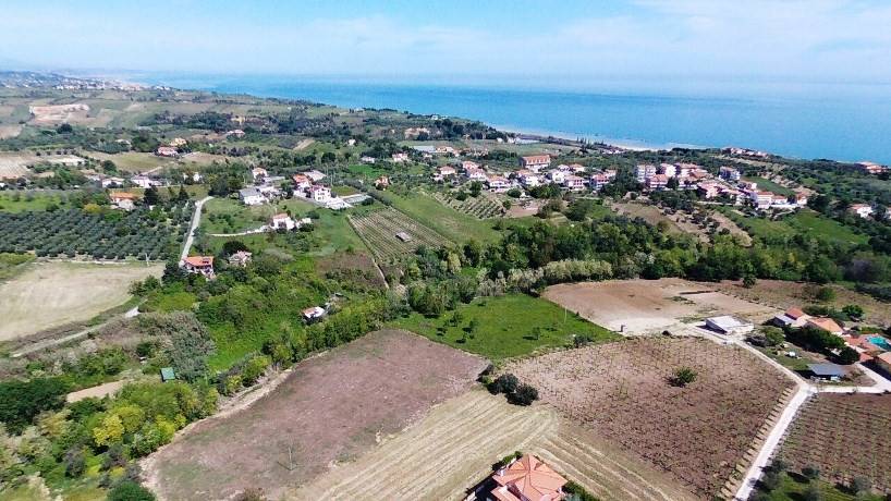 immagine annuncio 11 di 14