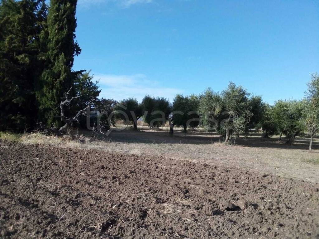 immagine annuncio 1 di 4