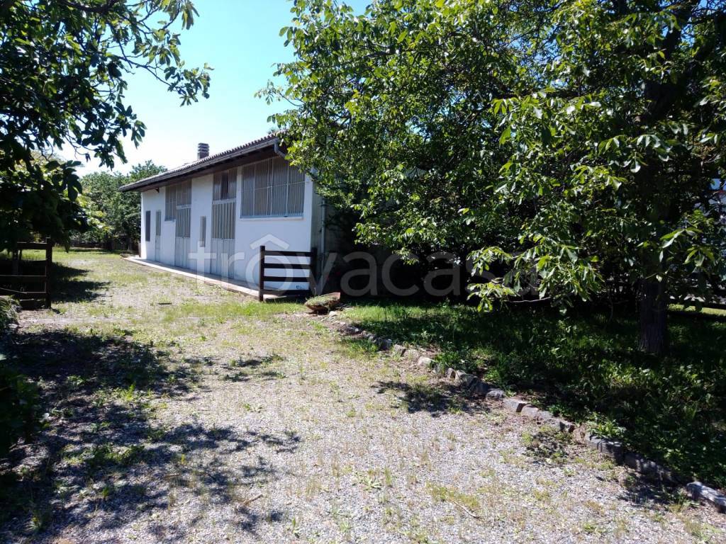 immagine annuncio 5 di 14