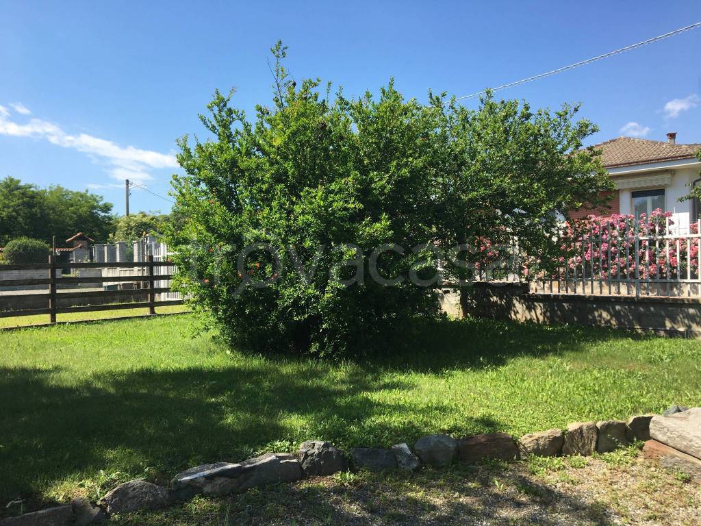 immagine annuncio 2 di 14