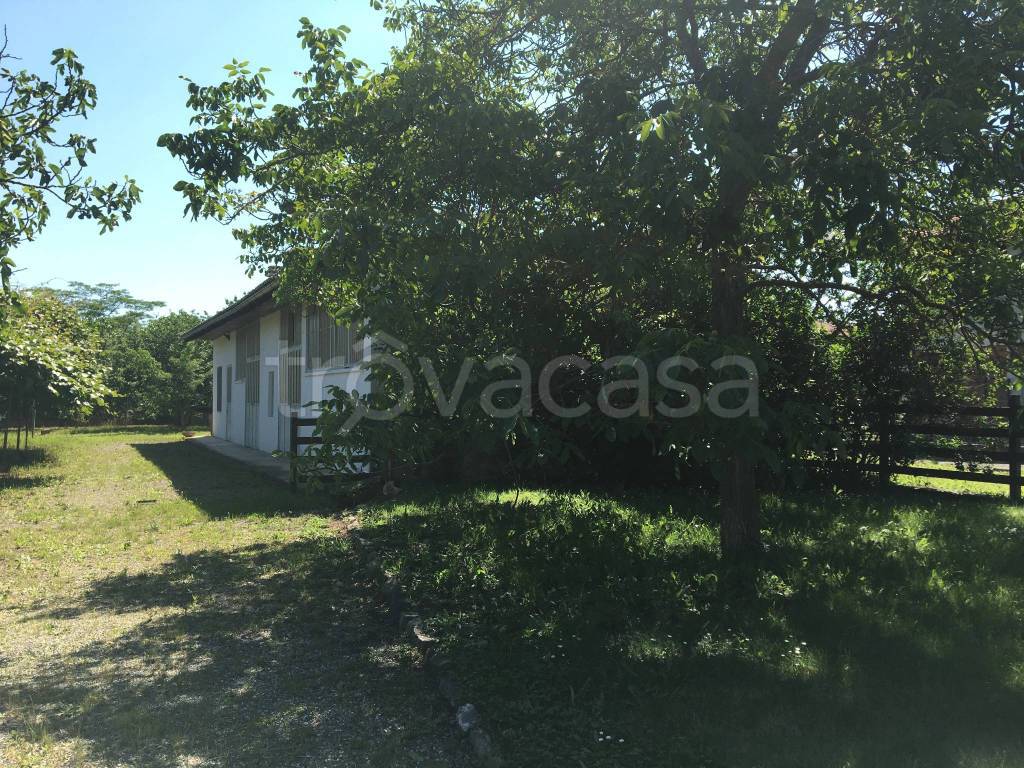 immagine annuncio 3 di 14