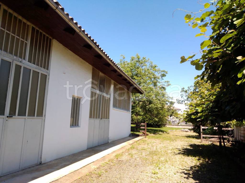 immagine annuncio 6 di 14