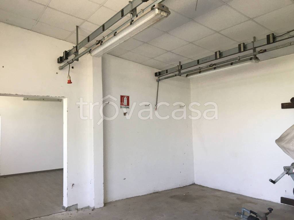 immagine annuncio 11 di 14