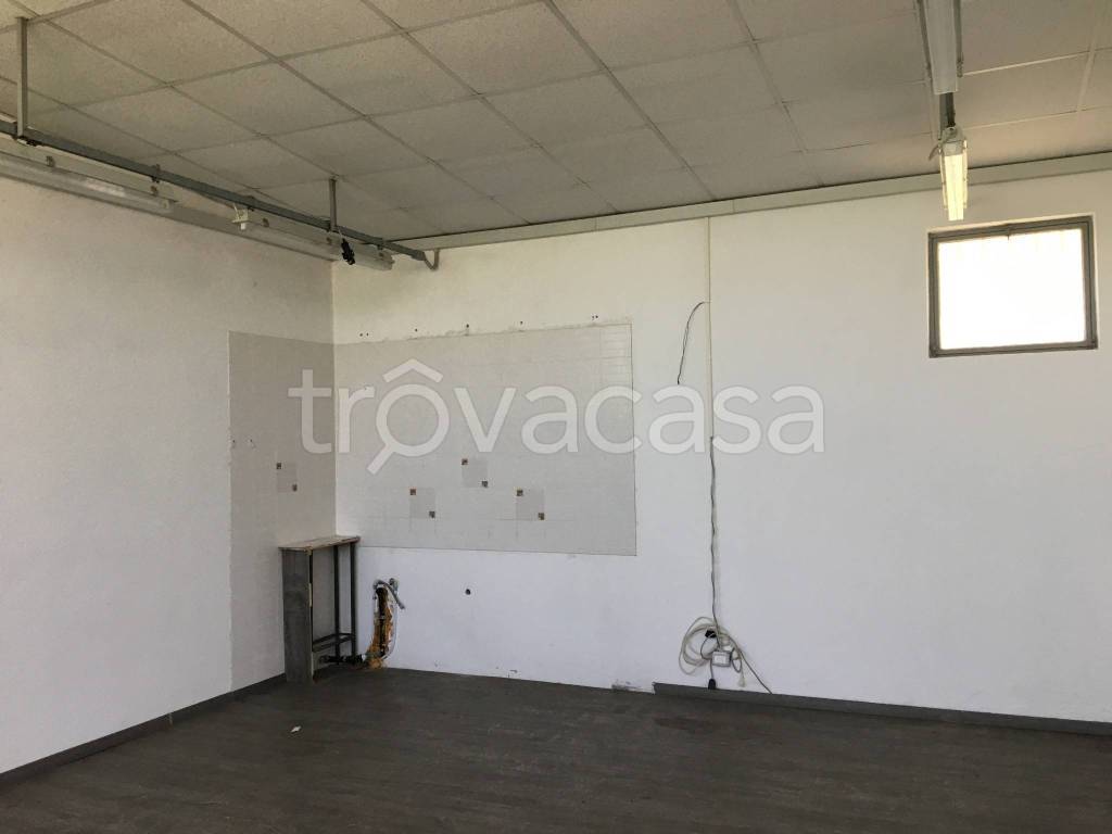 immagine annuncio 8 di 14