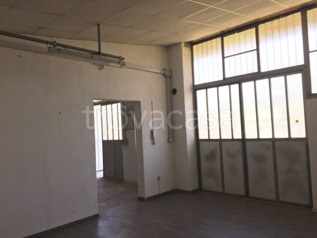 immagine annuncio 9 di 14