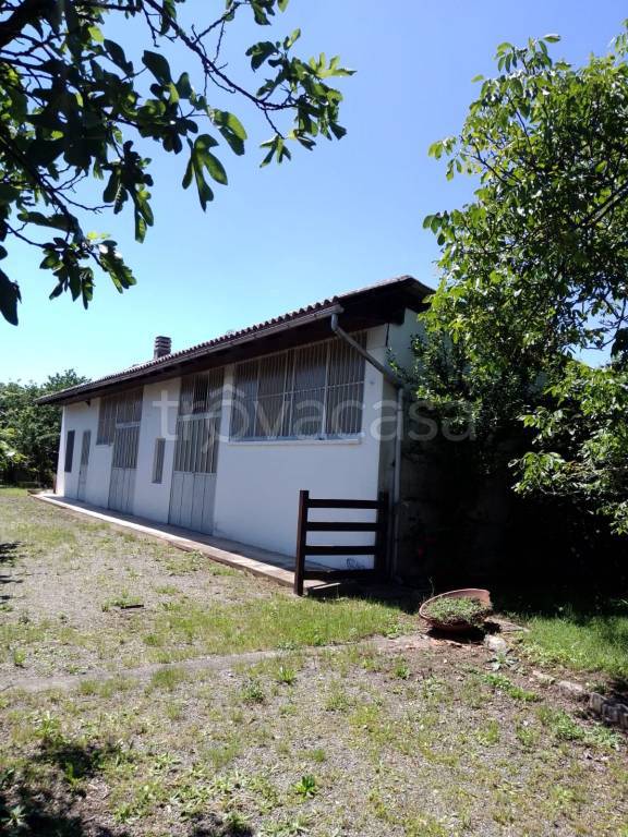 immagine annuncio 4 di 14