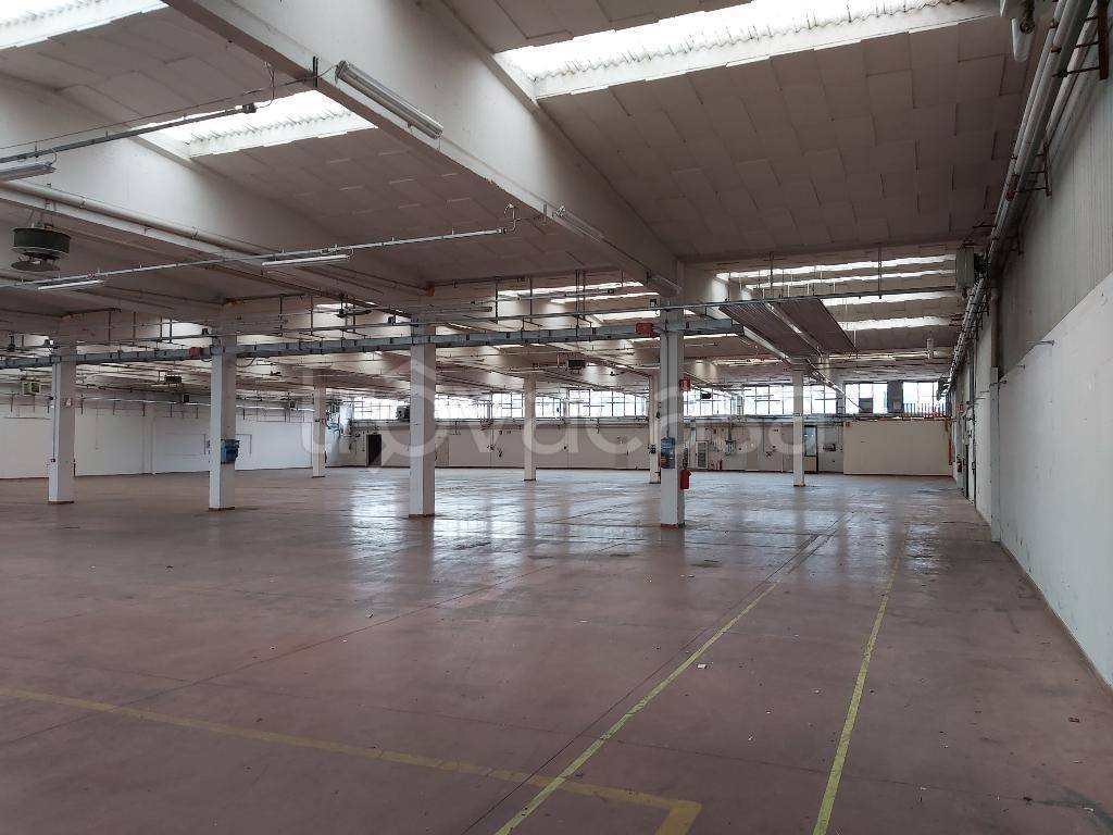 immagine annuncio 6 di 14