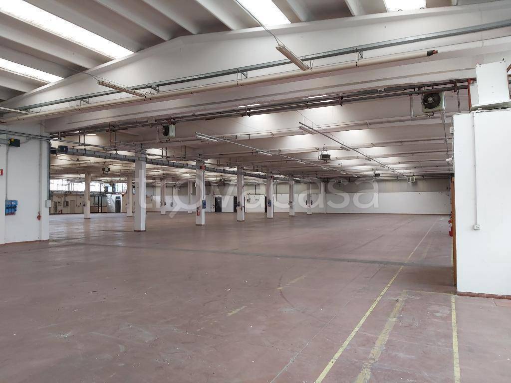 immagine annuncio 7 di 14