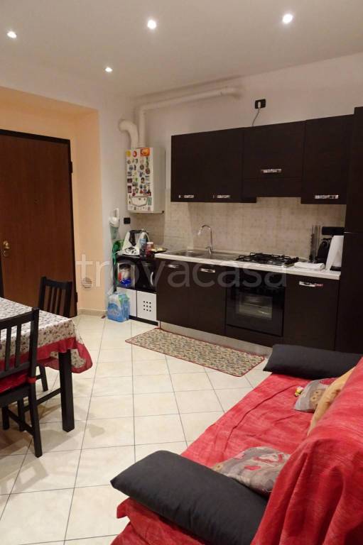 immagine annuncio 12 di 14