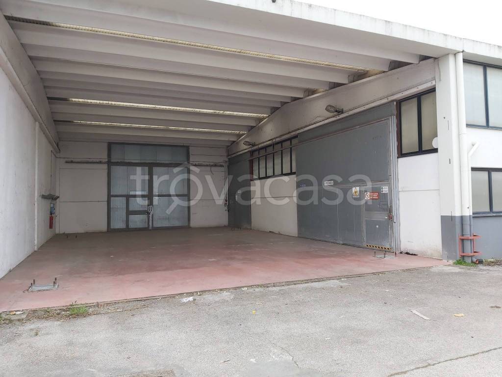 immagine annuncio 9 di 14