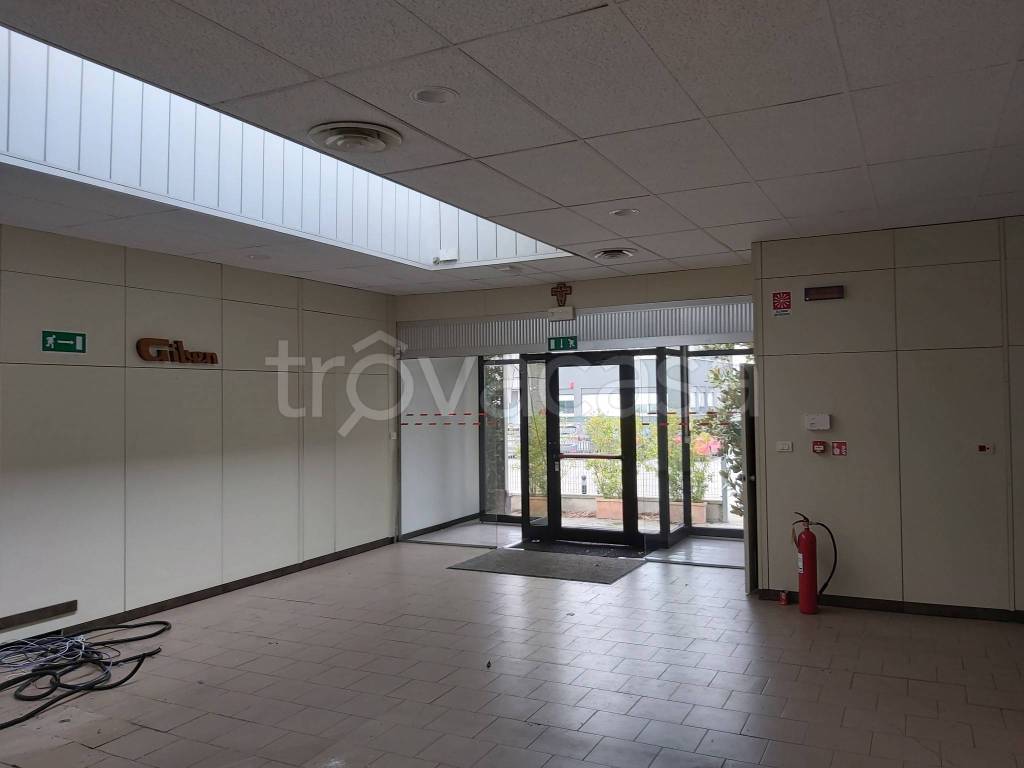 immagine annuncio 11 di 14