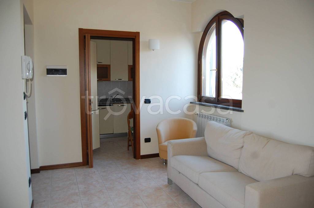 immagine annuncio 3 di 14