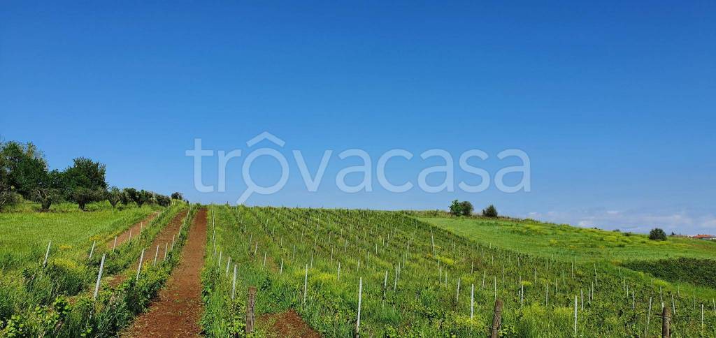 Terreno Agricolo in vendita ad Aprilia via Tufello, 8
