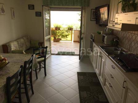 immagine annuncio 2 di 12