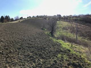 Terreno agricolo in vendita a città sant'angelo strada fagnano, 1