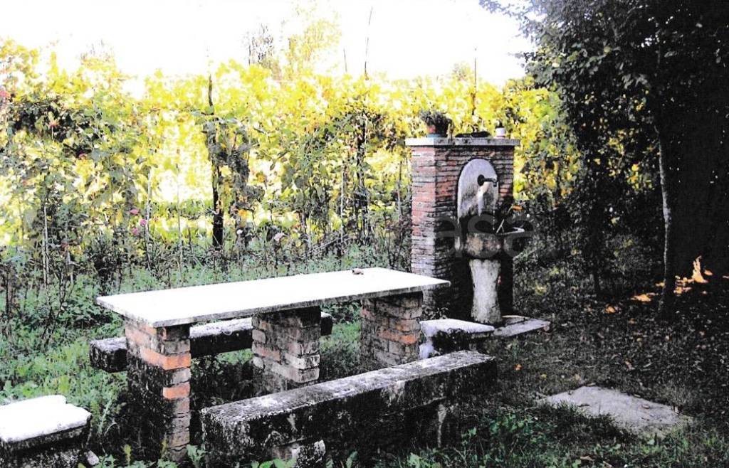 immagine annuncio 1 di 11