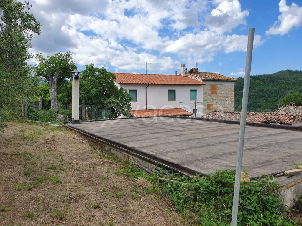 immagine annuncio 3 di 14