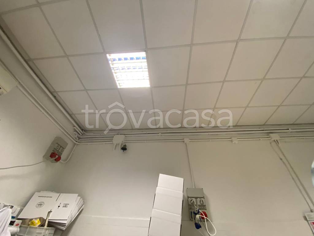 immagine annuncio 8 di 12
