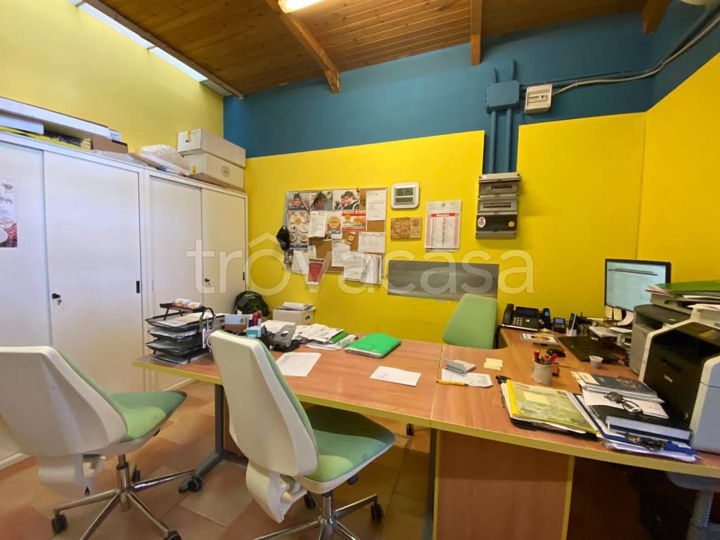 immagine annuncio 11 di 12