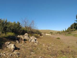 Terreno agricolo in vendita ad altofonte contrada rebuttone