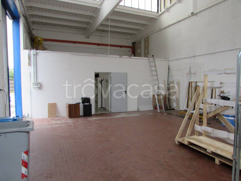 immagine annuncio 3 di 11