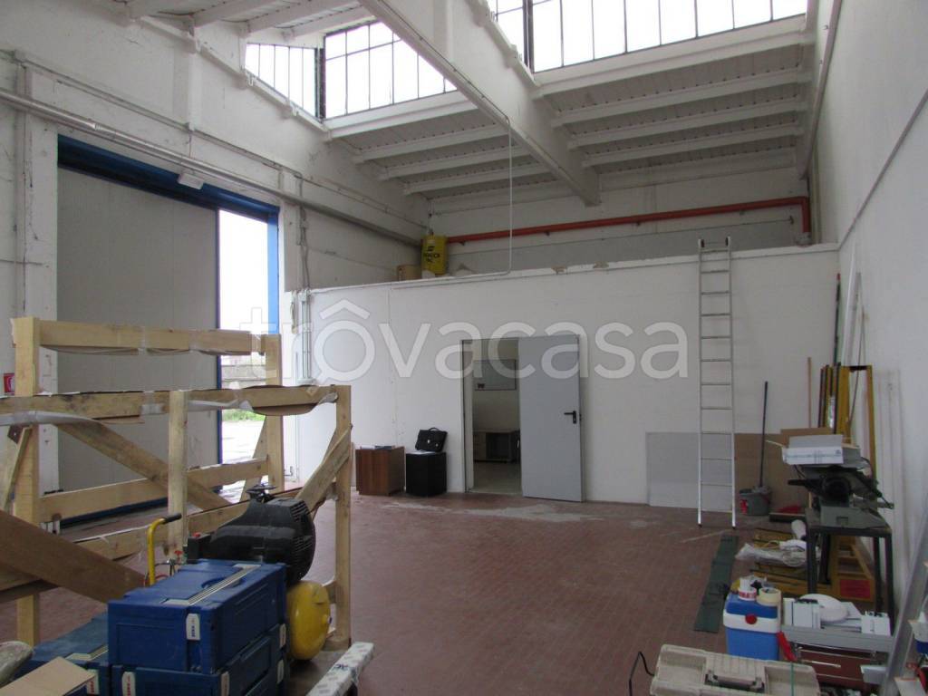 immagine annuncio 4 di 11