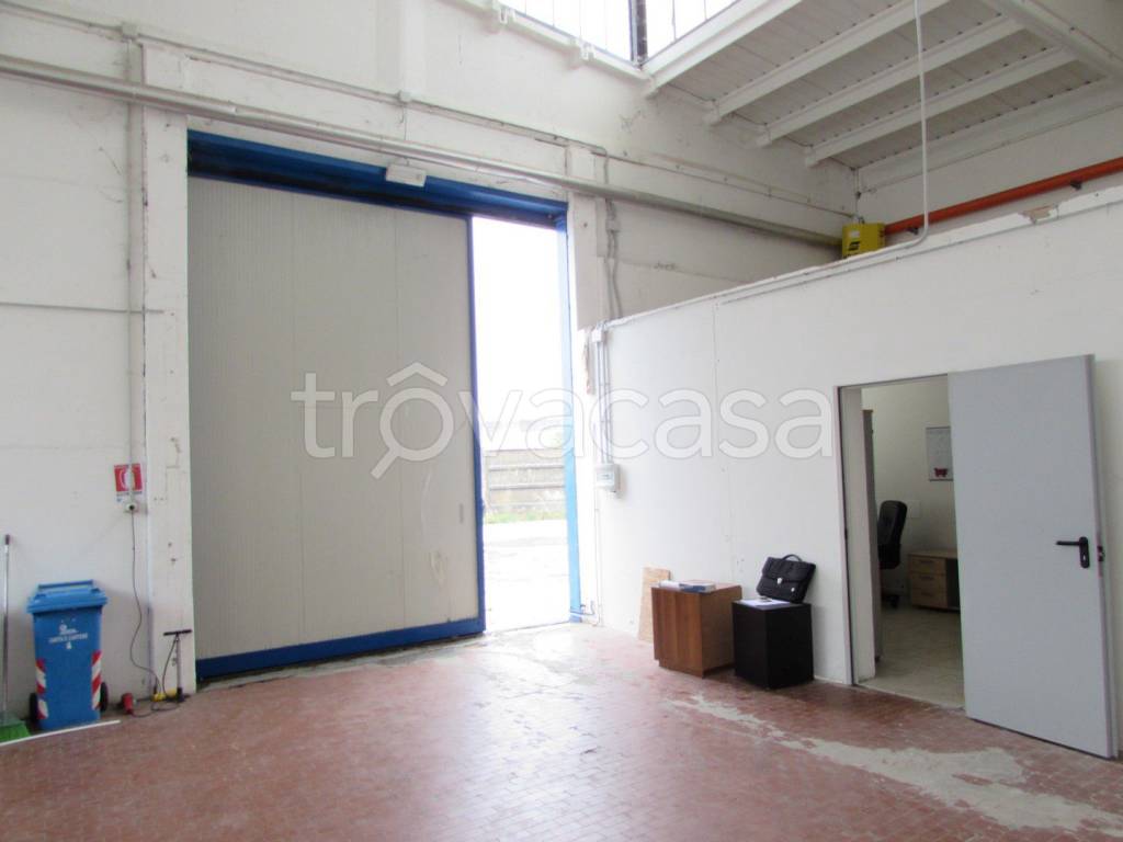 immagine annuncio 5 di 11
