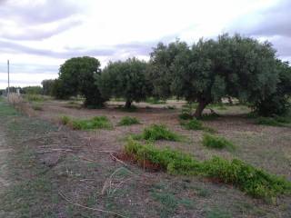 Terreno residenziale in vendita a isola di capo rizzuto strada comunale le castella