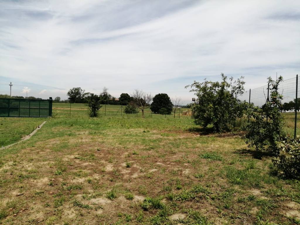 immagine annuncio 4 di 7