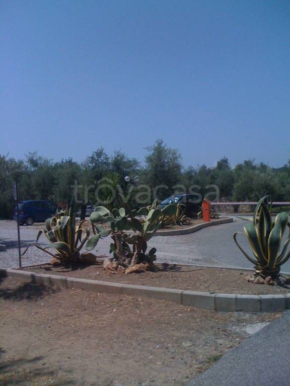 immagine annuncio 1 di 14