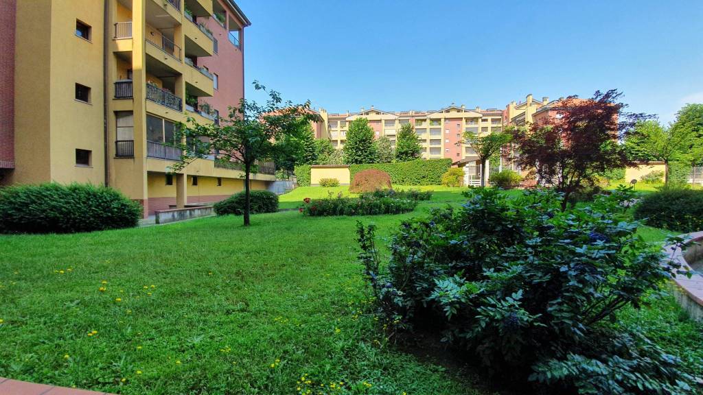 immagine annuncio 11 di 14