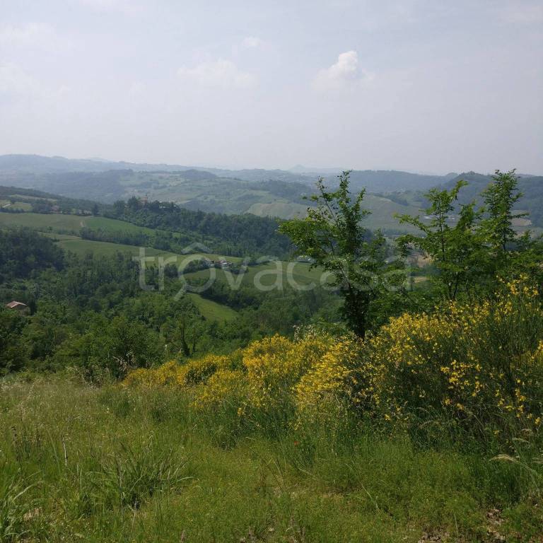 Terreno Agricolo in vendita a Lugagnano Val d'Arda località Montezago