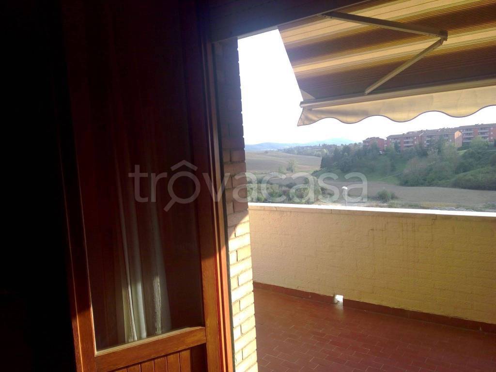 Appartamento in in vendita da privato a Sovicille via Giovanni da Verrazzano, 49