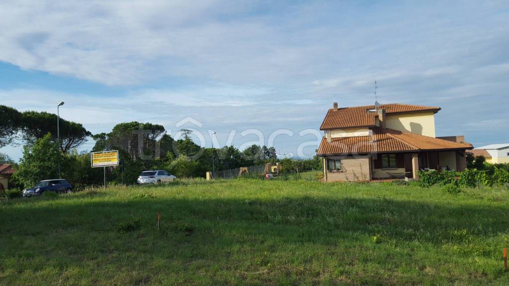 immagine annuncio 4 di 7